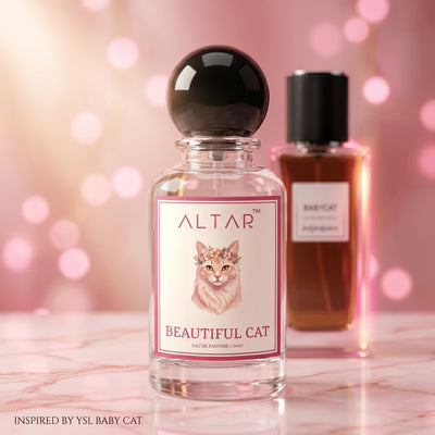 BEAUTIFUL CAT- INSPIRED BY Y$L BA*Y CAT