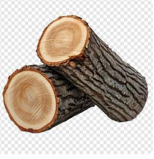 WOODY