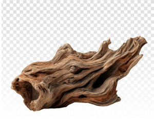 AMBERGRIS