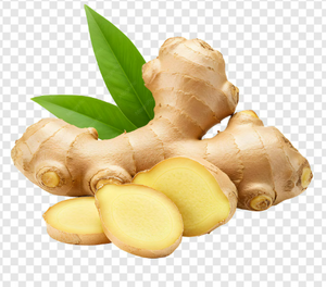 GINGER