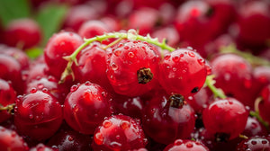 RED BERRIES